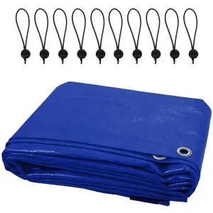 5 x 8 m Tarpaulin Waterproof Cover Camping Ground Sheet Caravan Furniture Multipurpose 10 Bungee Balls Blue 55 GSM