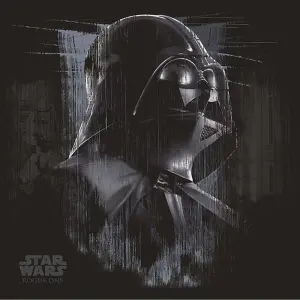 Star Wars: Rogue One Darth Vader Canvas Print Black (40cm x 40cm)