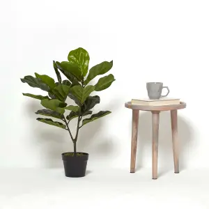 Homescapes Artificial Fiddle Leaf Fig Tree in Pot, 75 cm Tall