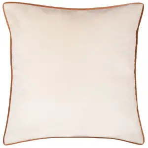 Paoletti Meridian Velvet Piped Polyester Filled Cushion