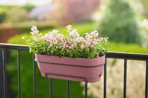 Elho Vibia Campana Recycled Plastic All in 1 Trough Plant Pot 70cm Dusty Pink