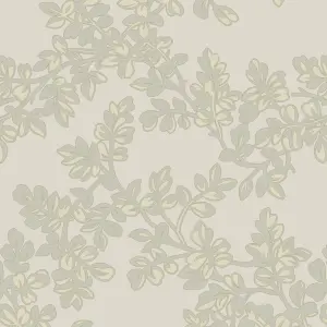 Laura Ashley Burnham Dove grey Trail Smooth Wallpaper