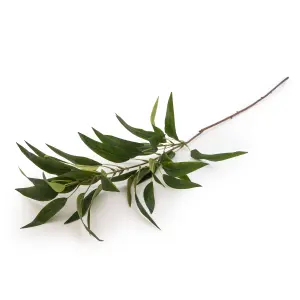 Green Eucalyptus Long Single stem Artificial flower