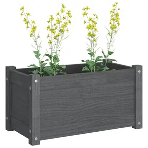 Berkfield Garden Planter Grey 60x31x31 cm Solid Pinewood