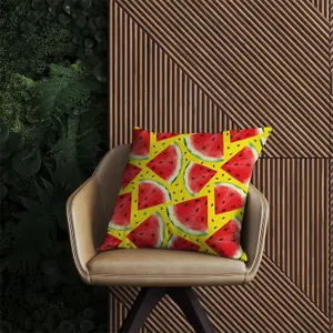 Watermelon Pattern Outdoor Cushion 60cm x 60cm