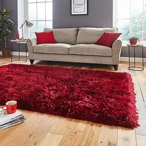 Ruby Rug 80 x 150cm / Elegant & Plush Rug for Luxurious Living Spaces