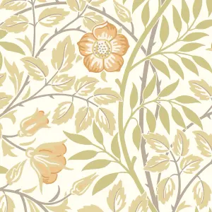 Hoopla Walls Rosehip Trail Soft Amber Smooth Matt Wallpaper