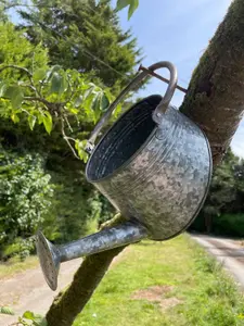 Galvanised Watering Can Hanging Wall Planter Metal Outdoor Garden Flower Pot