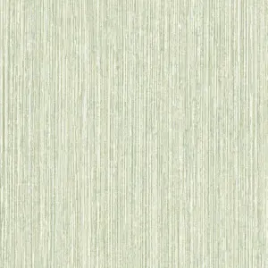 Grandeco Boutique Driftwood Seagrass Effect Texture Embossed Wallpaper, Green