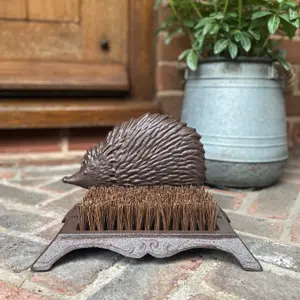 Cast Iron Hedgehog Boot Brush And Two Beetle Boot Jacks