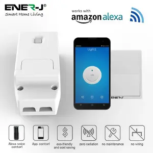 100W RF & WiFi ON/OFF & Dimming Receiver, Also works with Alexa