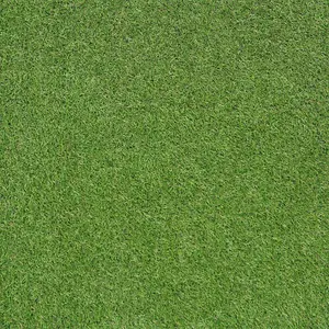 Realistic Fake Grass, Synthetic Fake Grass For Patio Lawn, Pet-Friendly Outdoor Artificial Grass-2m(6'6") X 2m(6'6")-4m²