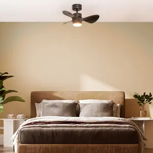 Cayleeann 24cm Ceiling Fan with LED Lights Black