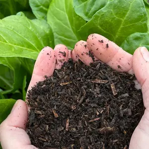 Natural Compost - Organic & Peat Free 50 Litres