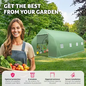 Greenhouse - polytunnel with 8 windows, 600 x 300 x 205 cm - 600 x 300 x 205 cm