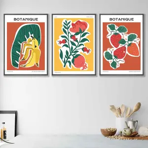 Set of 3 Artisan Fruit Wall Art Prints in Vibrant Colours / 42x59cm (A2) / White Frame