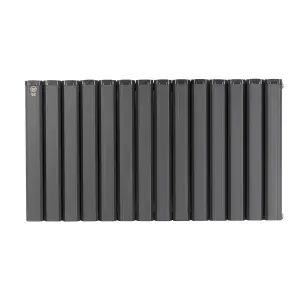 Aluminum Designer Horizontal Radiator Compatible with Heat pump. Energy Efficient. Model "Pioneer" Black. 1000 mm .