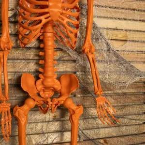 5ft (150cm)  Posable Halloween Pumpkin Skeleton Decoration