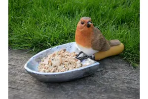 Robin sitting on Shovel bird feeder