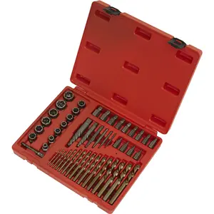 49 Piece Master Extractor Set - Screw Bolt & Nut Extraction - Storage Case