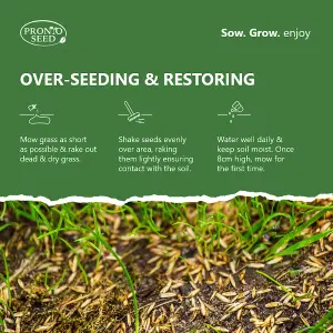 Pronto Seed Grass Seed 1.4KG Premium Quality 84m2 Coverage for Overseeding, Fast Growing & Hard Wearing Lawn Seed, Defra Approved