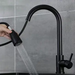 Stainless Steel Kitchen Sink Faucet with Extender and Sprayer black