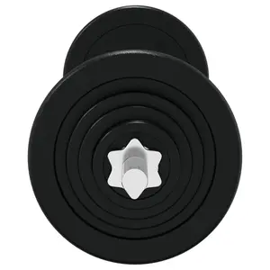 Barbell with Plates Set 30 kg Cast Iron