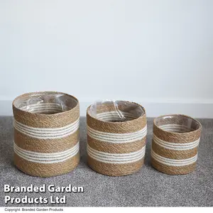 Indoor Planter Basket Natural Seagrass & Jute White Stripe Set of Three 25cm, 22cm & 17cm Diameter Garden Gear