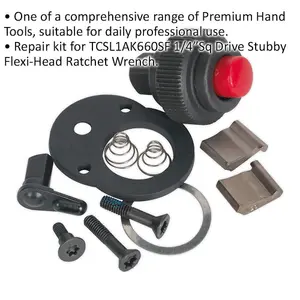 Premium 1/4 Inch Square Drive Repair Kit for 48-Tooth Ratchet Wrench