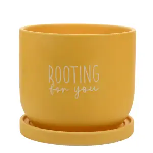 Country Living Ceramic Plant Pot - "Rooting For You"