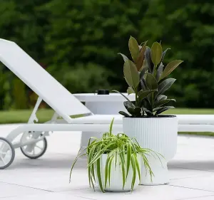 Plant Pots Flower Planter 7 Colours 3 sizes Tall Wavy Plastic Pot Boho Elegant White 24cm - 8.5L