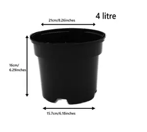 Black Plastic Plant Pot Flower Pots 4 Litres x 50 Pots