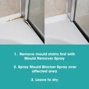 Furniture Clinic Mould Blocker Spray