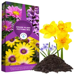 House Plant Potting Mix Compost 40 Litres (4 x 10 Litres) Perfect For Indoor House Plants With Seaweed Extract