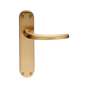 Lilla Latch Door Handle (Set of 2) Satin Brass