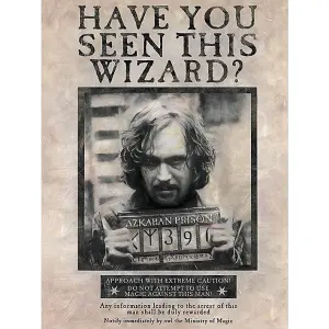 Harry Potter Wanted Sirius Black Canvas Print Black/Brown (40cm x 30cm)