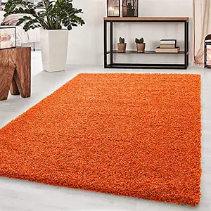 Abaseen 160x230 cm Orange Thick Pile Soft Shaggy Modern Rug