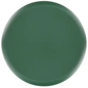 Elevated Plant Pot KALANDRA Metal Dark Green