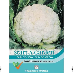 Cauliflower All The Year Round 3 Packets Inc: (150 Seeds)