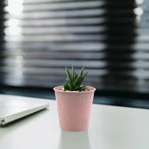 1.1L Pastel Pink Metal Planter Garden Herbs Plant 14cm Pot Embossed Leaf Bowl