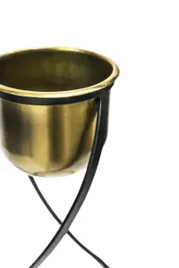 Indoor Kensington Brass Metal Round Planter on Stand H42Cm W14Cm