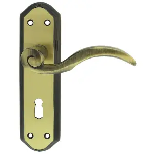 Carlisle Brass Florentine Bronze Wentworth Lever on Lock Backplate (DL340FB)