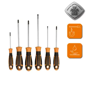 Magnusson 6 piece Standard Mixed Screwdriver set