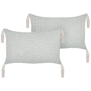 Set of 2 Cushions HAKONE 45 x 25 cm Geometric Mint Green