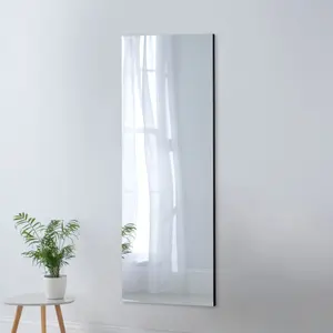 Tall Contemporary Rectangular Wall Mirror