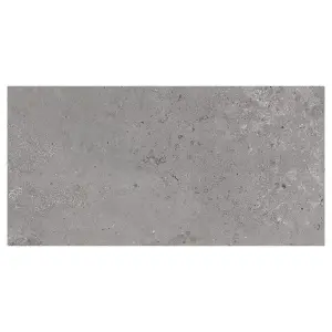 Mythos Matt Grey Stone Effect Porcelain Outdoor Tile - Pack of 13, 9.36m² - (L)600x(W)1200mm