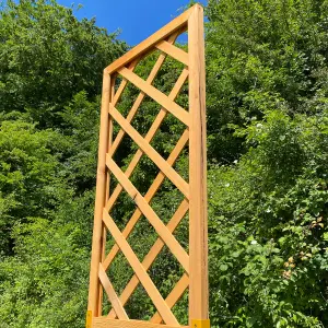 Wooden Garden Planter with Trellis