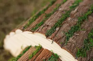 Wooden Hedgehog house Garden Shelter