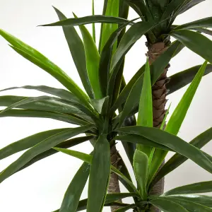 Homescapes Yucca Tree in Pot, 150 cm Tall