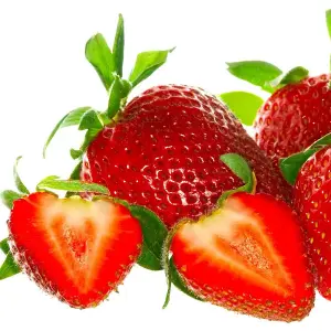 Strawberry Hapil - Outdoor Fruit Plants for Gardens, Pots, Containers (9cm Pots, 10 Pack)